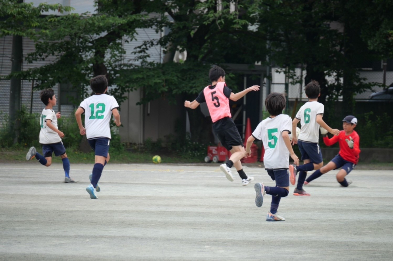 image_xlarge (13)