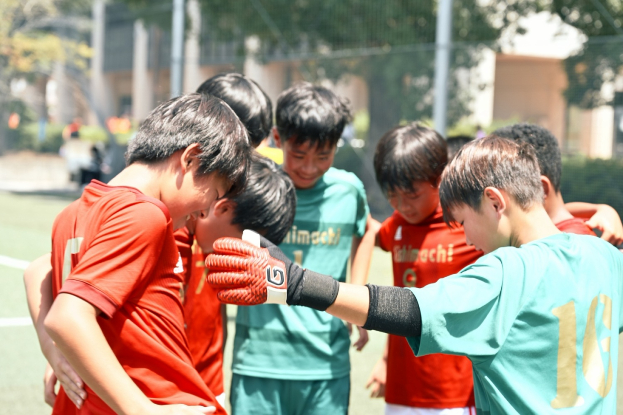 image_xlarge (11)