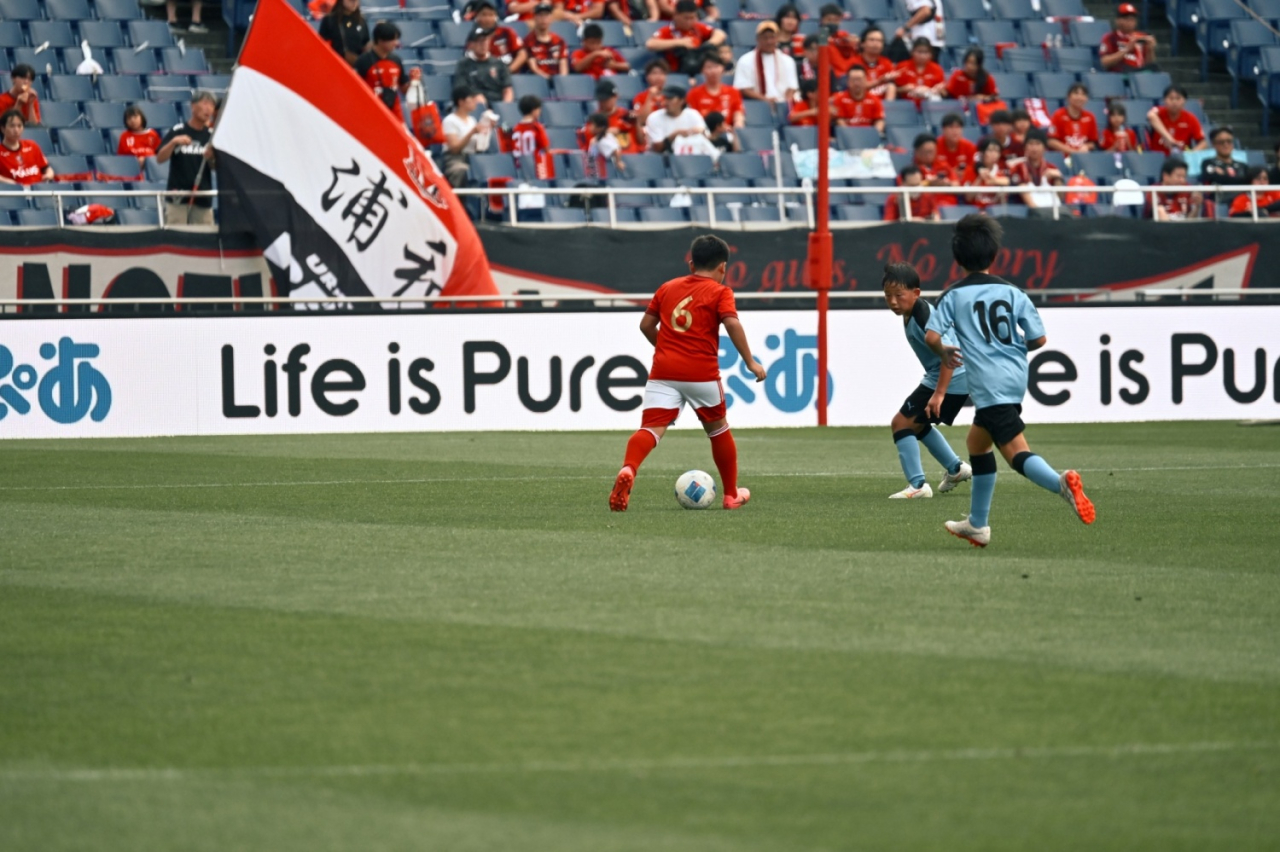 image_xlarge (1)