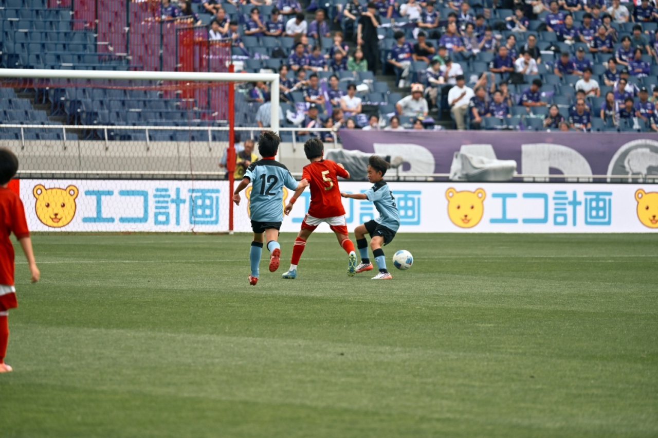 image_xlarge (2)