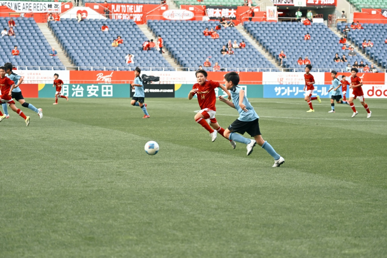 image_xlarge (5)