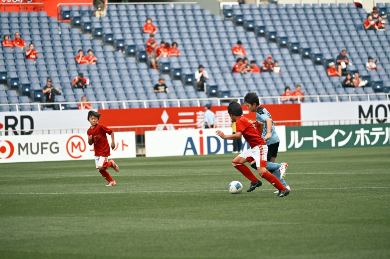 image_xlarge (8)