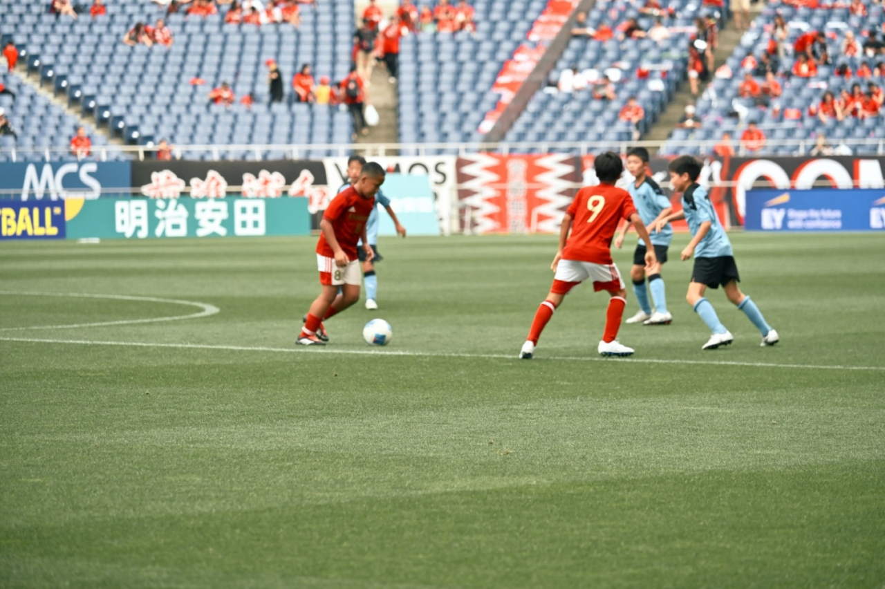 image_xlarge (7)