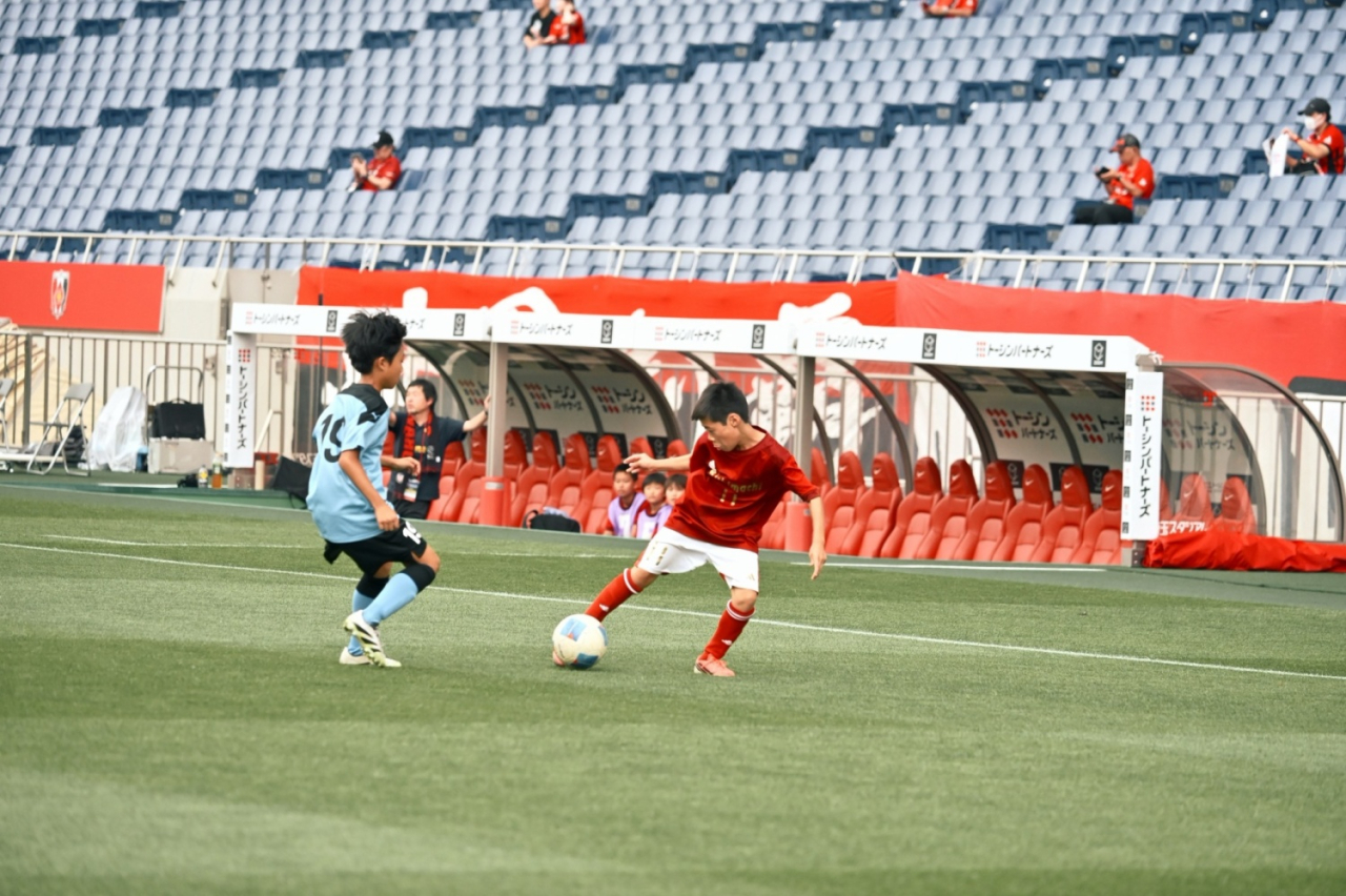image_xlarge (14)
